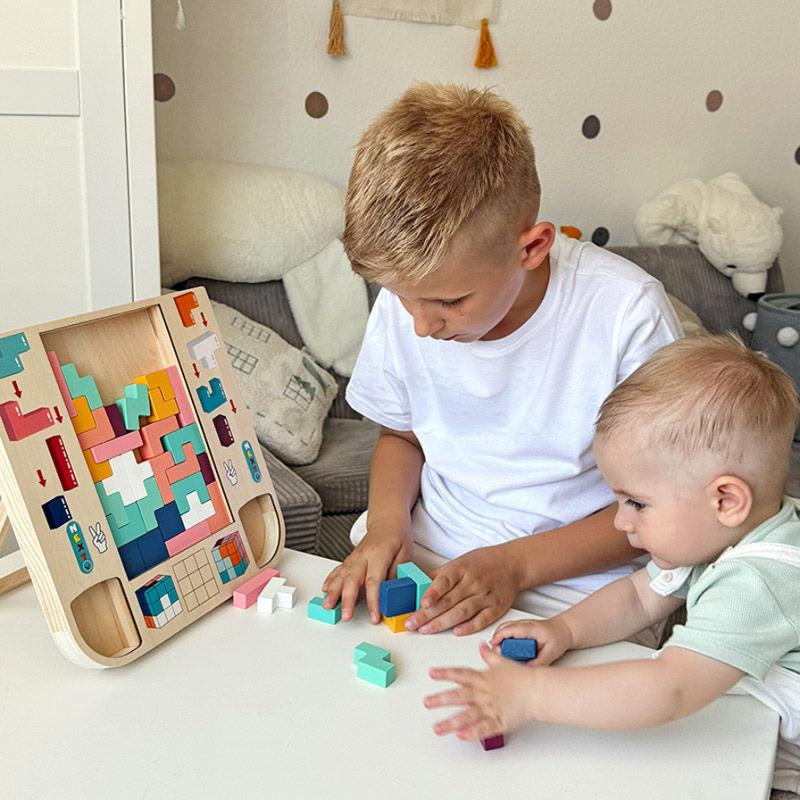 Montessori Wooden Brain Blocks Puzzle