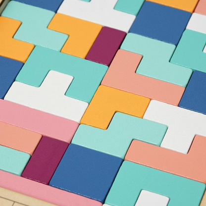 Montessori Wooden Brain Blocks Puzzle