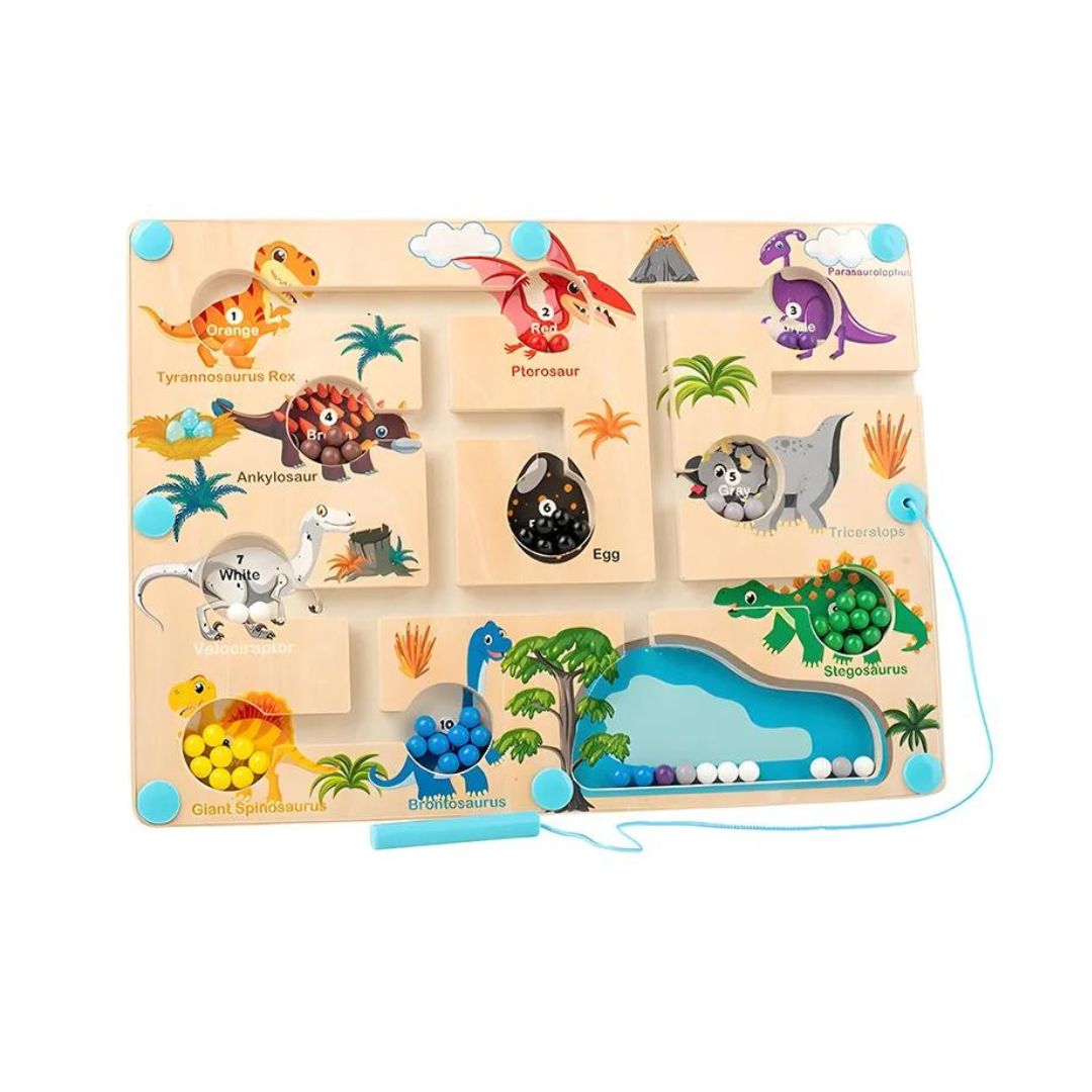 Magnetic Dinosaur Maze | Color & Counting Play Board