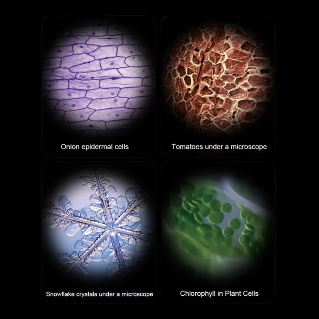 Kids Pocket Microscope | 60–120× Portable Explorer Tool with LED Light