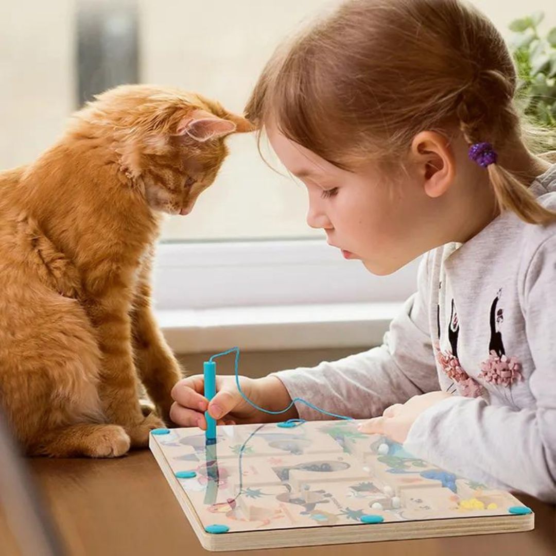 Magnetic Dinosaur Maze | Color & Counting Play Board