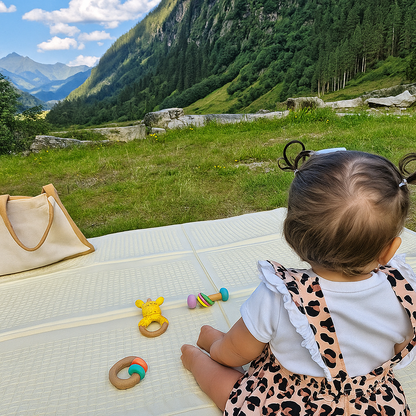 Montessori Rattle Kit